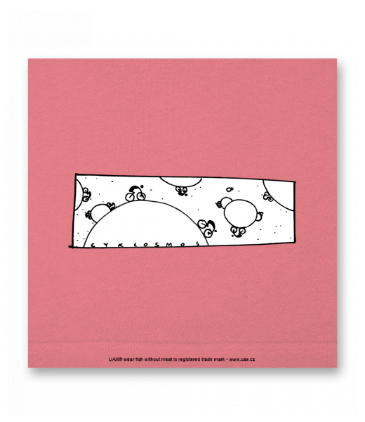 OBRAZ DO INTERIÉRU 110x110cm