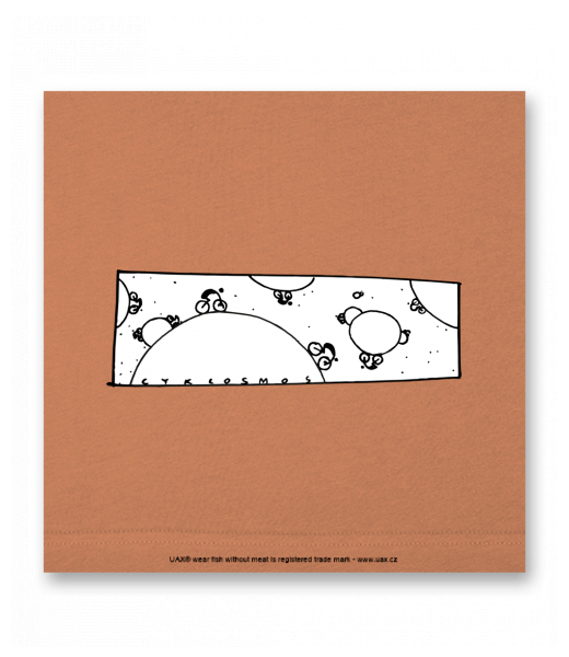 OBRAZ DO INTERIÉRU 110x110cm