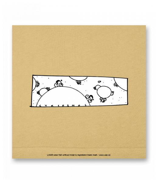 OBRAZ DO INTERIÉRU 110x110cm