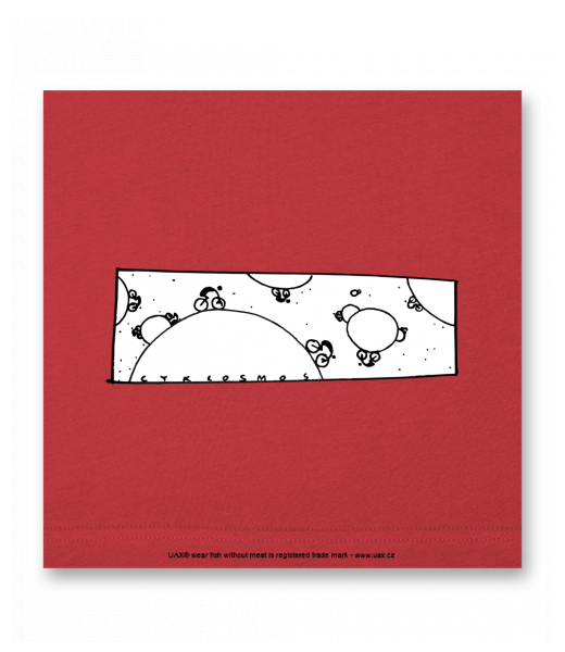 OBRAZ DO INTERIÉRU 110x110cm