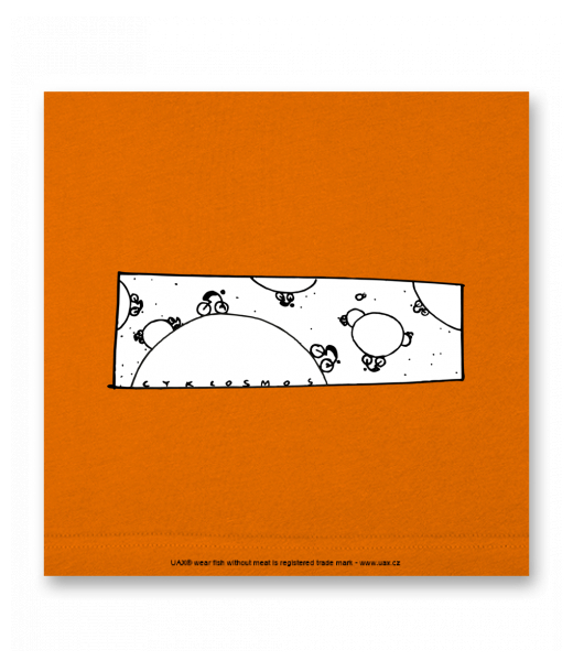 OBRAZ DO INTERIÉRU 110x110cm