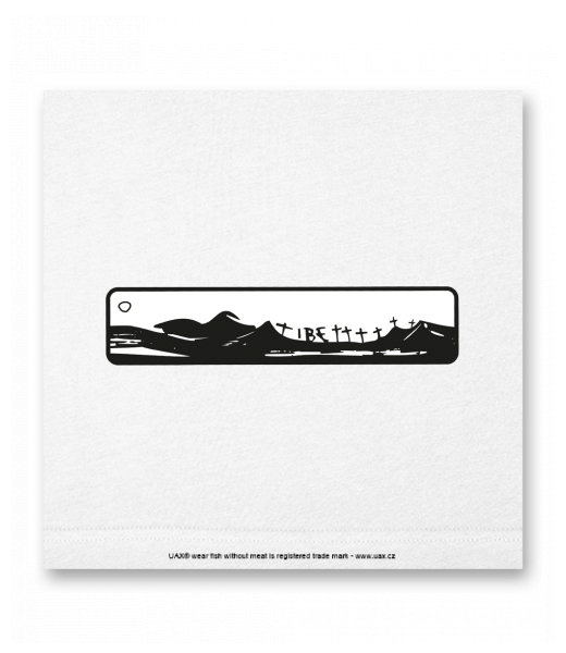 OBRAZ DO INTERIÉRU 110x110cm