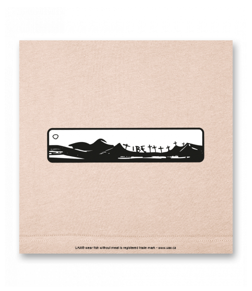 OBRAZ DO INTERIÉRU 110x110cm