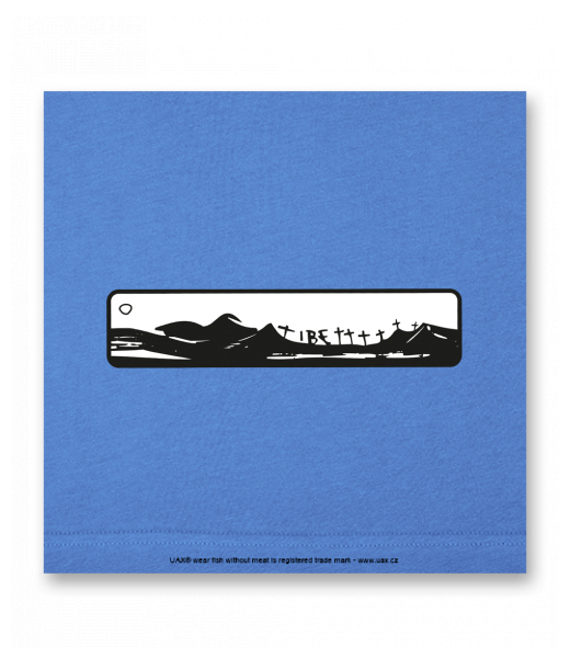 OBRAZ DO INTERIÉRU 110x110cm