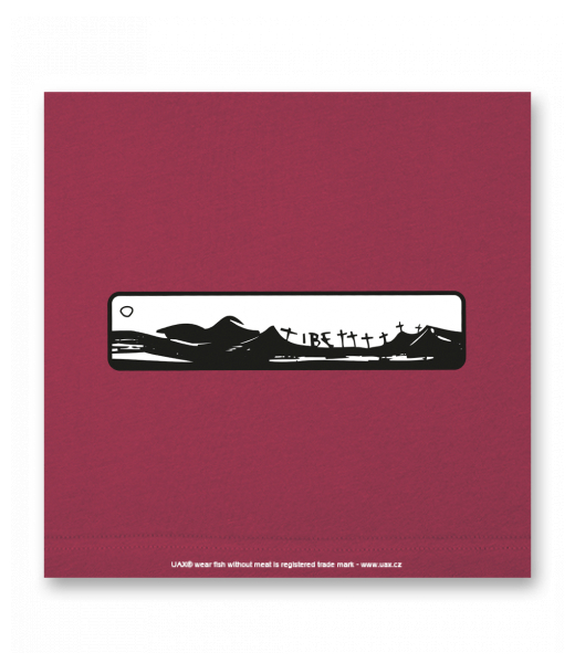 OBRAZ DO INTERIÉRU 110x110cm