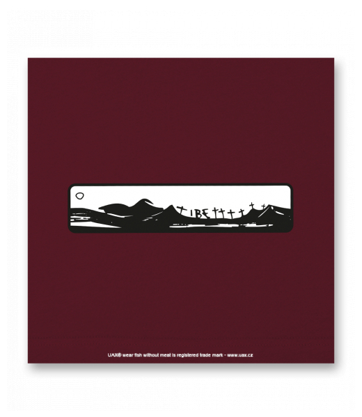 OBRAZ DO INTERIÉRU 110x110cm