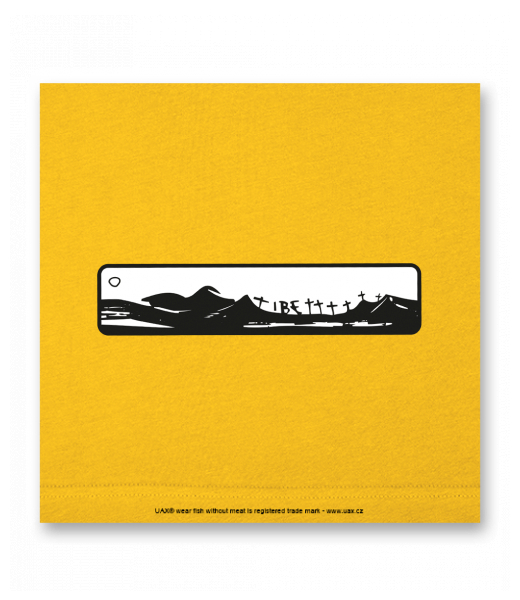 OBRAZ DO INTERIÉRU 110x110cm