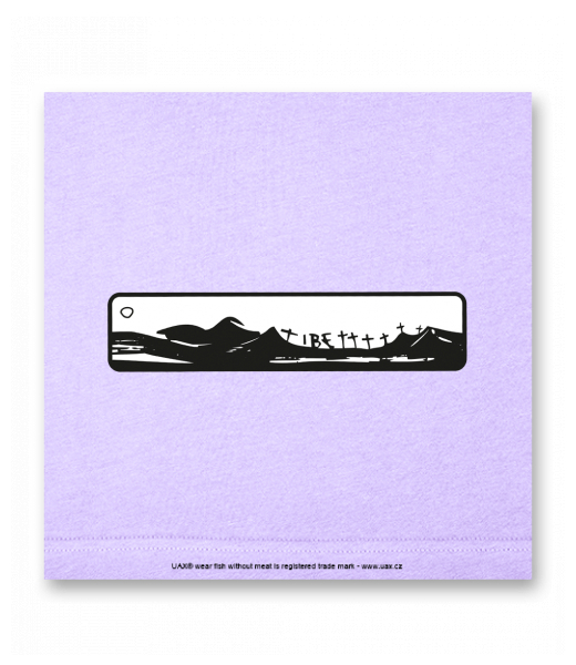 OBRAZ DO INTERIÉRU 110x110cm