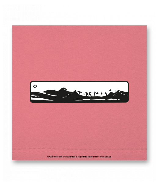 OBRAZ DO INTERIÉRU 110x110cm