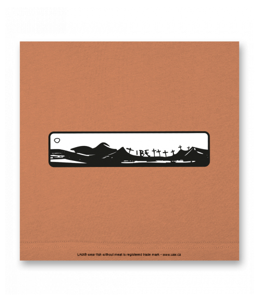 OBRAZ DO INTERIÉRU 110x110cm