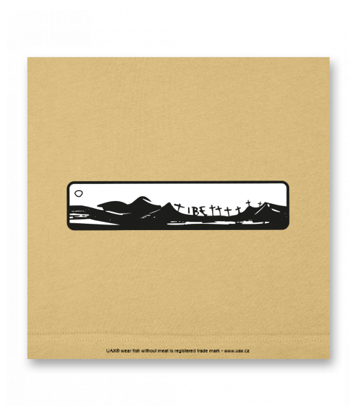 OBRAZ DO INTERIÉRU 110x110cm