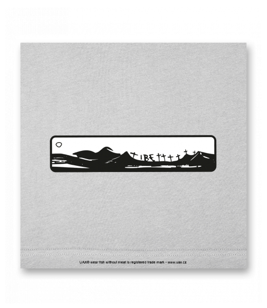 OBRAZ DO INTERIÉRU 110x110cm