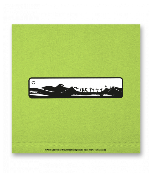 OBRAZ DO INTERIÉRU 110x110cm