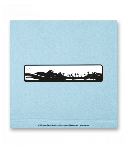 OBRAZ DO INTERIÉRU 110x110cm