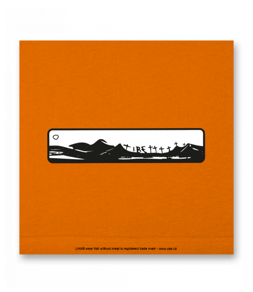 OBRAZ DO INTERIÉRU 110x110cm