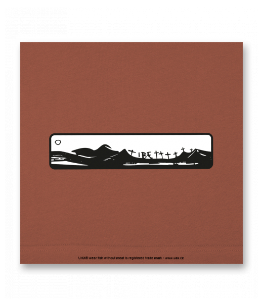 OBRAZ DO INTERIÉRU 110x110cm