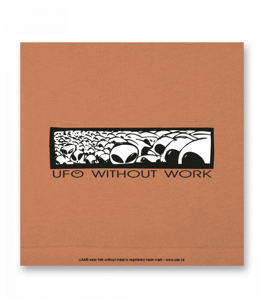 OBRAZ DO INTERIÉRU 110x110cm