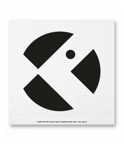 OBRAZ DO INTERIÉRU 110x110cm