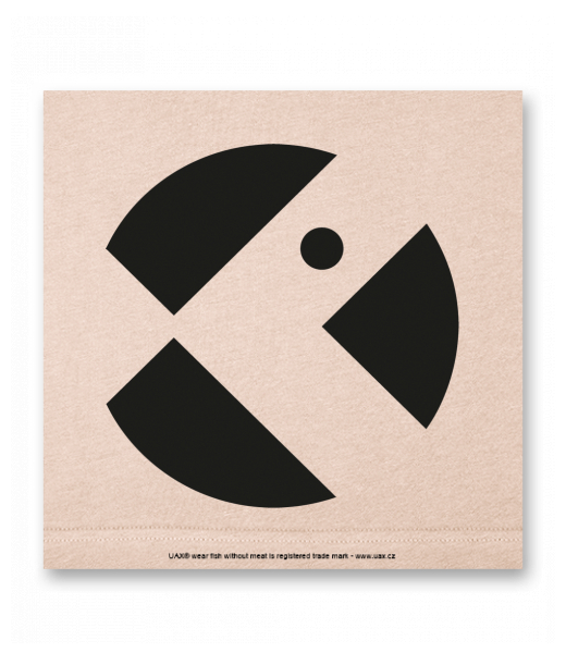 OBRAZ DO INTERIÉRU 110x110cm