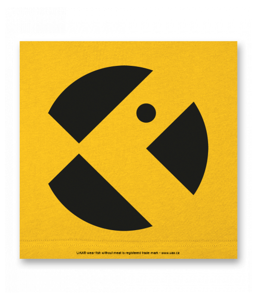 OBRAZ DO INTERIÉRU 110x110cm