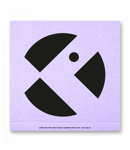 OBRAZ DO INTERIÉRU 110x110cm