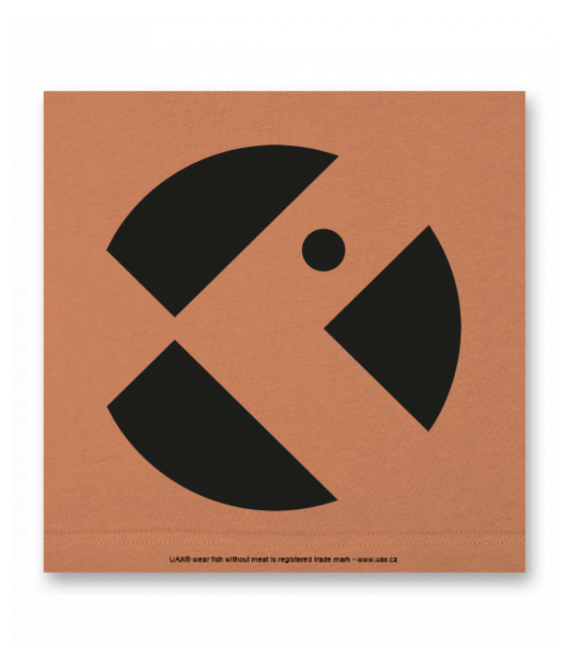 OBRAZ DO INTERIÉRU 110x110cm