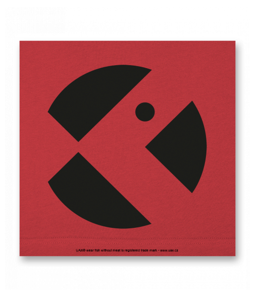 OBRAZ DO INTERIÉRU 110x110cm