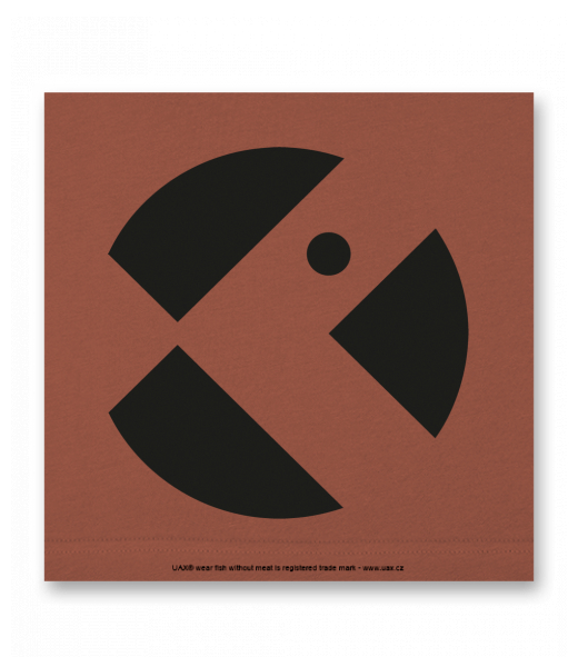 OBRAZ DO INTERIÉRU 110x110cm