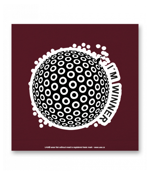 OBRAZ DO INTERIÉRU 110x110cm