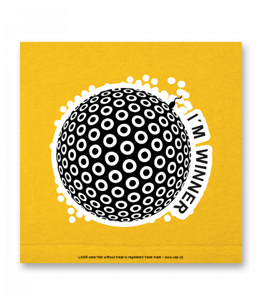 OBRAZ DO INTERIÉRU 110x110cm