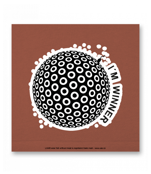 OBRAZ DO INTERIÉRU 110x110cm