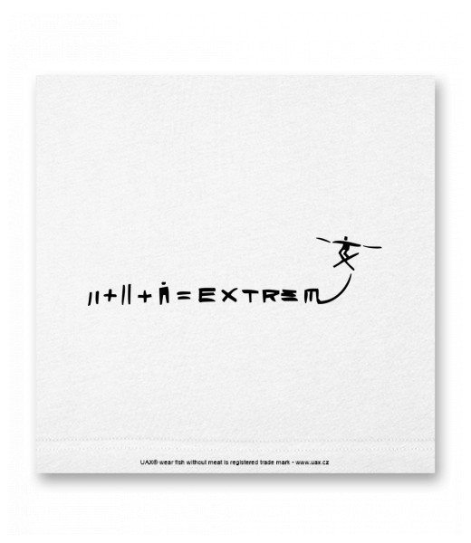 OBRAZ DO INTERIÉRU 110x110cm