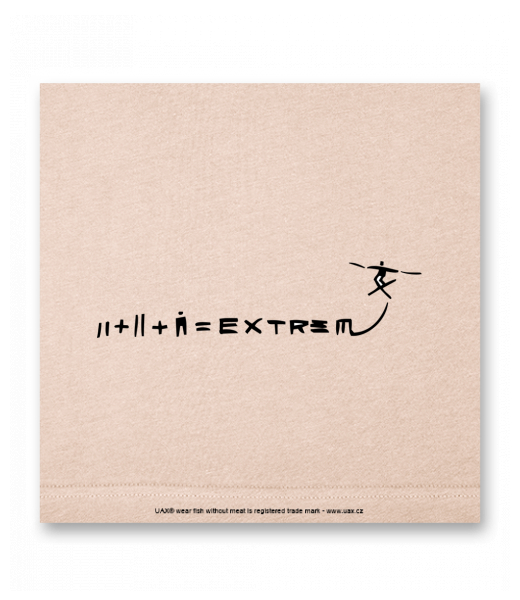 OBRAZ DO INTERIÉRU 110x110cm