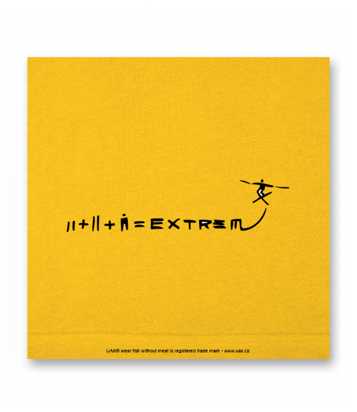 OBRAZ DO INTERIÉRU 110x110cm