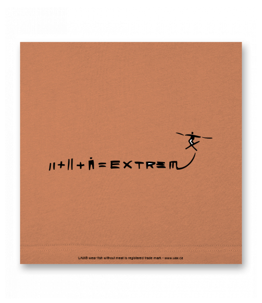 OBRAZ DO INTERIÉRU 110x110cm