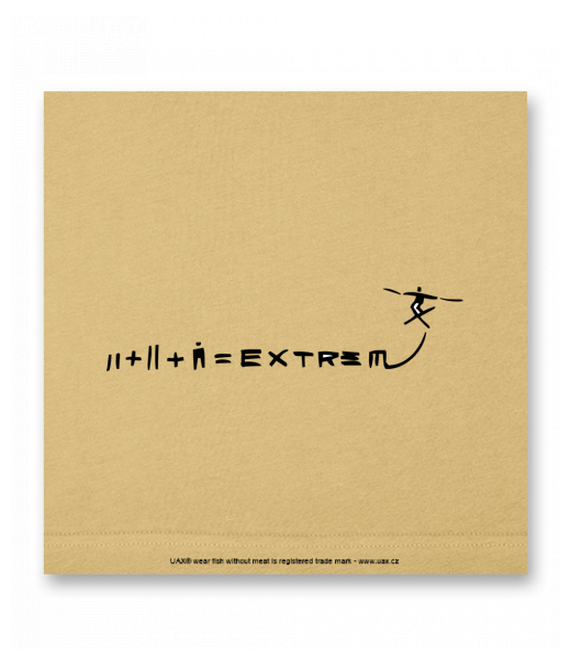 OBRAZ DO INTERIÉRU 110x110cm