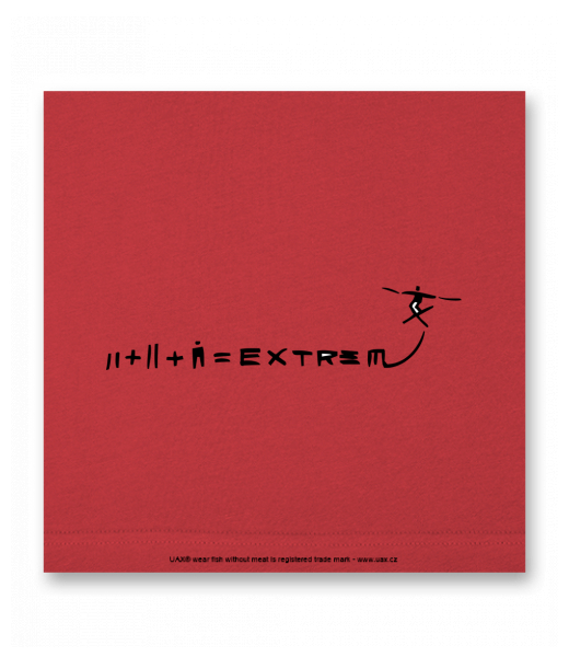 OBRAZ DO INTERIÉRU 110x110cm