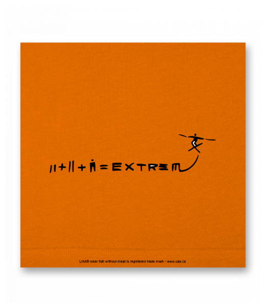 OBRAZ DO INTERIÉRU 110x110cm