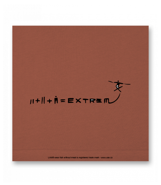 OBRAZ DO INTERIÉRU 110x110cm