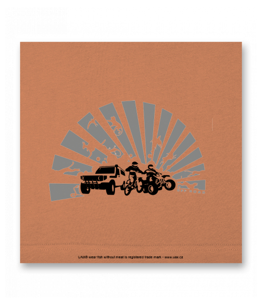 OBRAZ DO INTERIÉRU 110x110cm