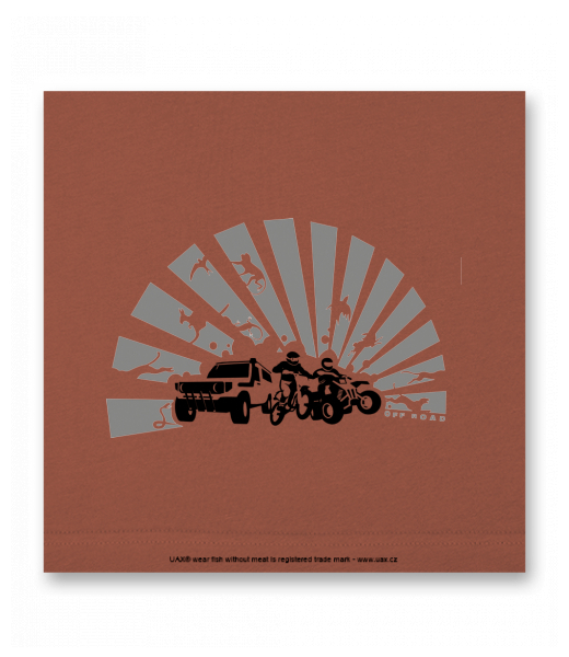 OBRAZ DO INTERIÉRU 110x110cm