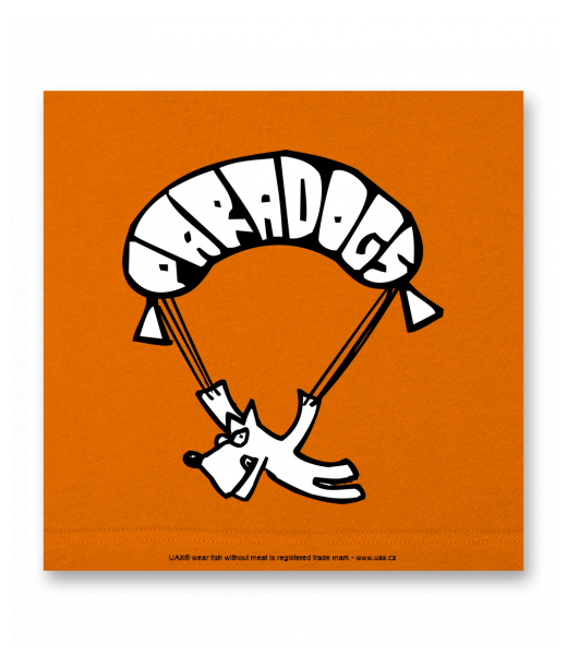 OBRAZ DO INTERIÉRU 110x110cm