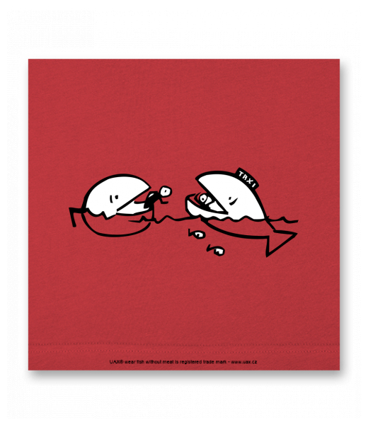 OBRAZ DO INTERIÉRU 110x110cm