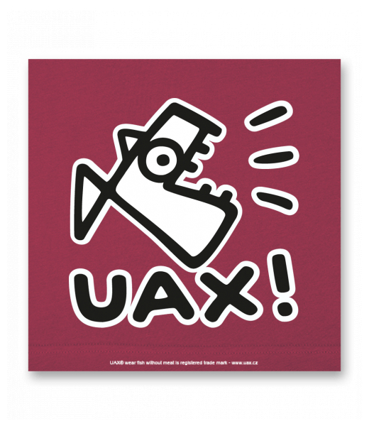 OBRAZ DO INTERIÉRU 110x110cm