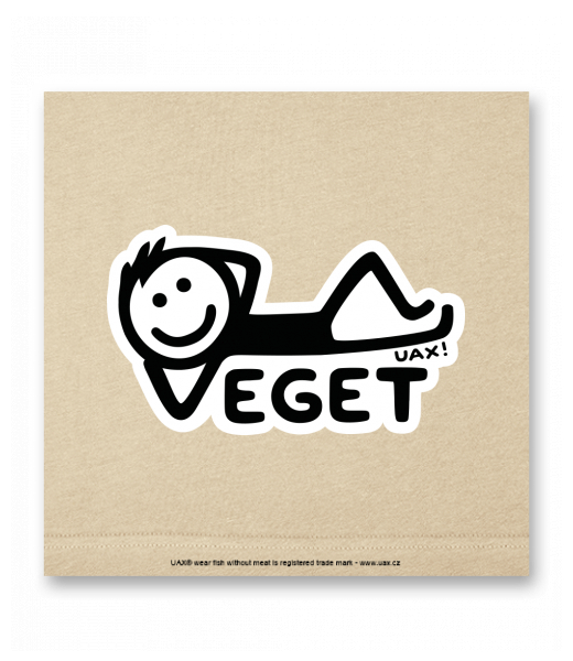 OBRAZ DO INTERIÉRU 110x110cm