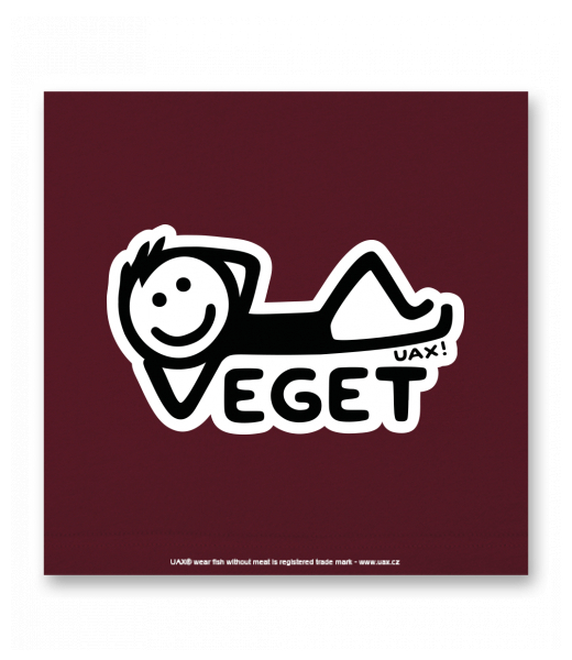 OBRAZ DO INTERIÉRU 110x110cm