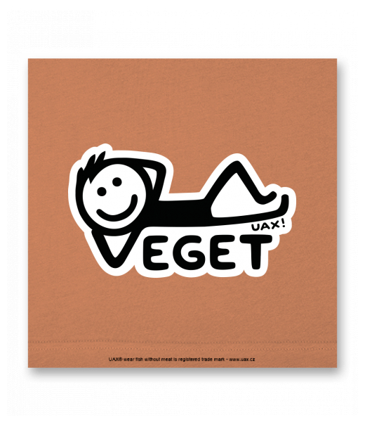 OBRAZ DO INTERIÉRU 110x110cm