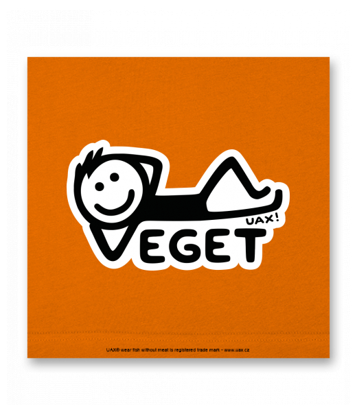 OBRAZ DO INTERIÉRU 110x110cm