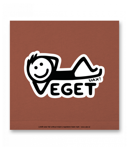 OBRAZ DO INTERIÉRU 110x110cm