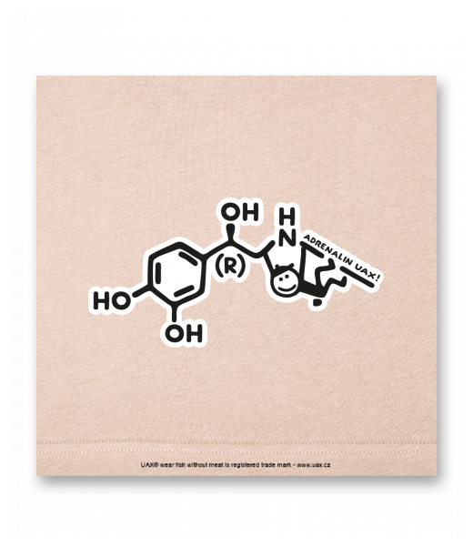 OBRAZ DO INTERIÉRU 110x110cm